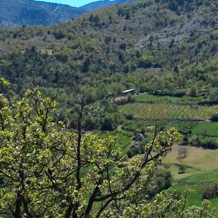 Ferme La Viste Villa La Roche-sur-le-Buis Eksteriør bilde